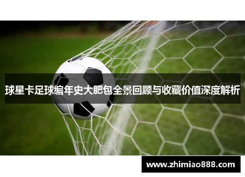 球星卡足球编年史大肥包全景回顾与收藏价值深度解析