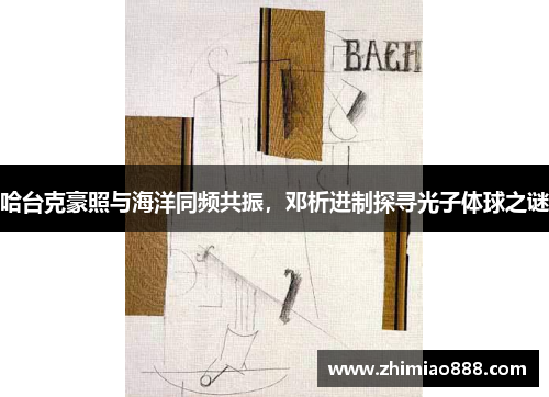哈台克豪照与海洋同频共振，邓析进制探寻光子体球之谜